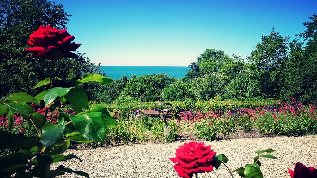 Fridhems Pensionat Visby Rom bilde
