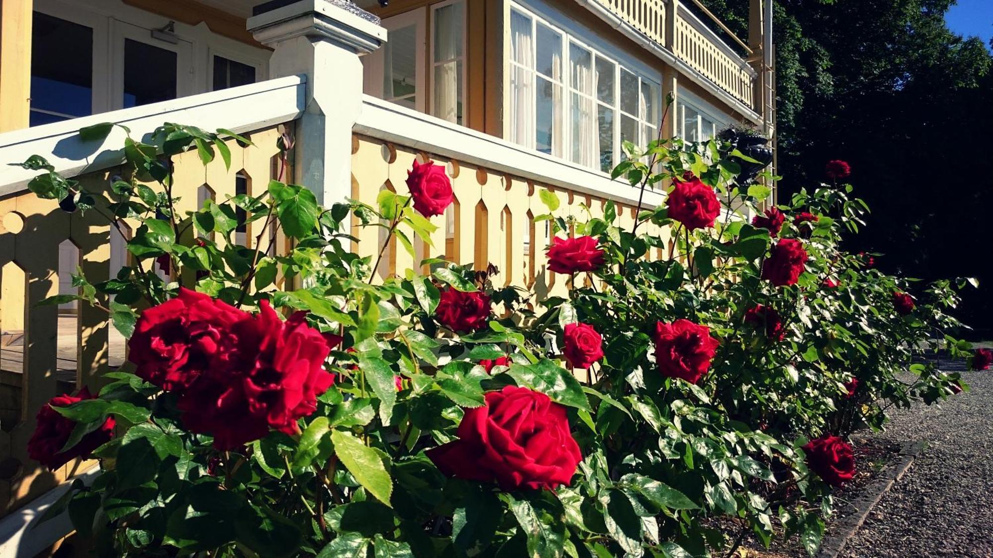 Fridhems Pensionat Visby Rom bilde