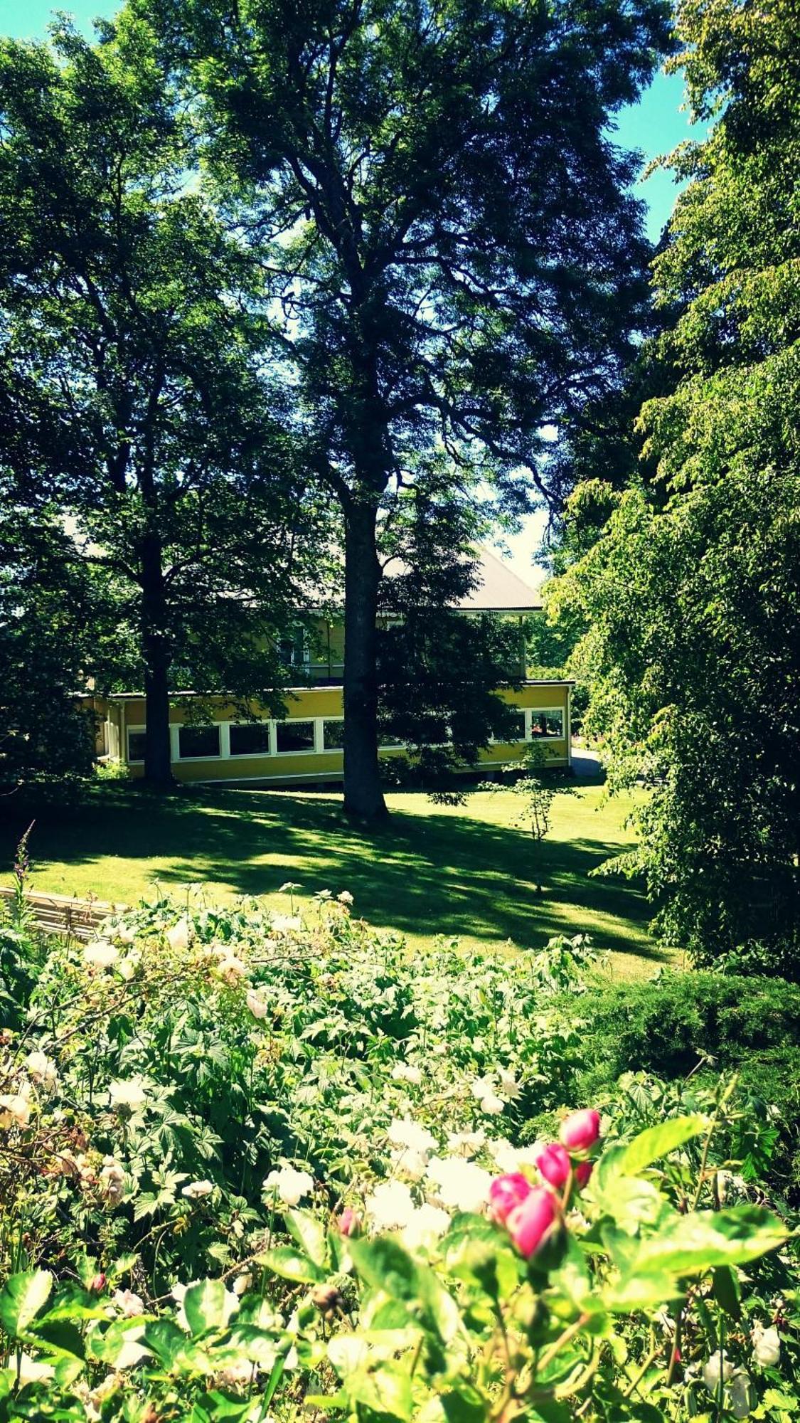 Fridhems Pensionat Visby Rom bilde